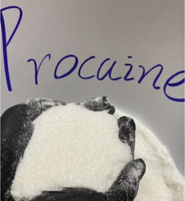 202412231734943787343181